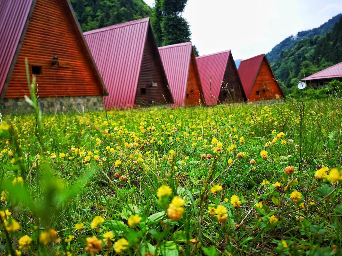 Kotit Ayder Hotel Exterior photo